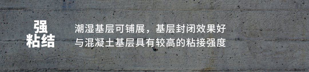 304am(й)޹˾-Official Website