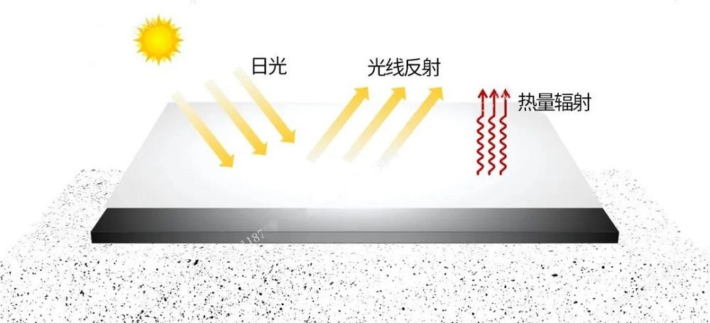 304am(й)޹˾-Official Website