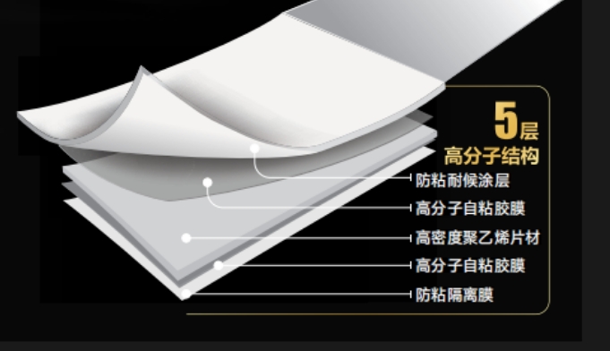 304am(й)޹˾-Official Website